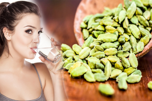 காலையில் வெறும் வயிற்றில் 1 கிலாஸ் ஏலக்காய் நீர் குடிப்பதால் கிடைக்கும் நன்மைகள்