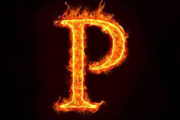 P என்ற எழுத்தில் பெயர் தொடங்குபவர்களின் வாழ்க்கை இரகசியம் இதுதான்…