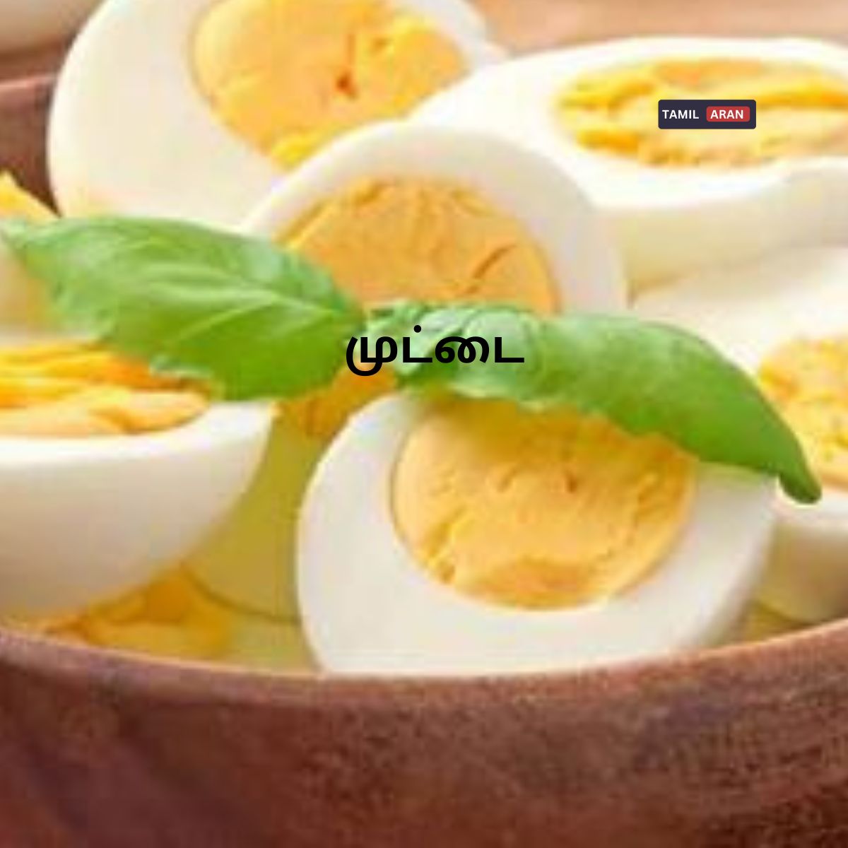 தினமும் ஒரு முட்டை சாப்பிடுவதால் கிடைக்கும் 5 நன்மைகள்| Benefits of eating an egg daily