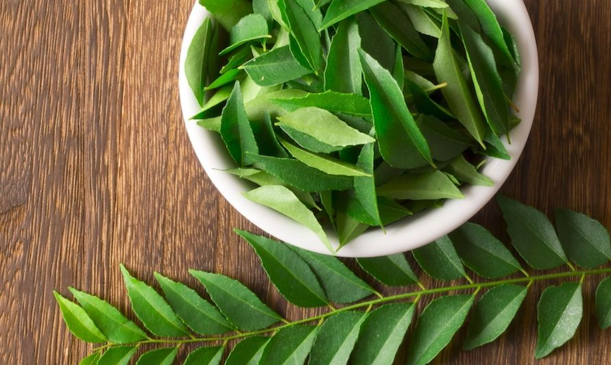கறிவேப்பிலையின் சிறந்த 5 மருத்துவ குணங்கள்| Amazing 5 Medicinal Properties of Curry Leaf