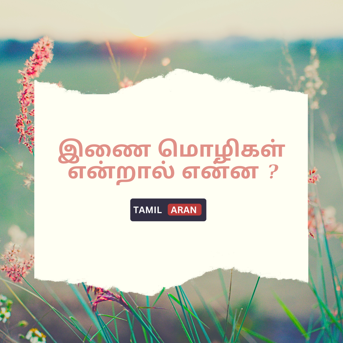 இணை மொழிகள் என்றால் என்ன? Best Definition of Tamil Grammar Inai Mozhi
