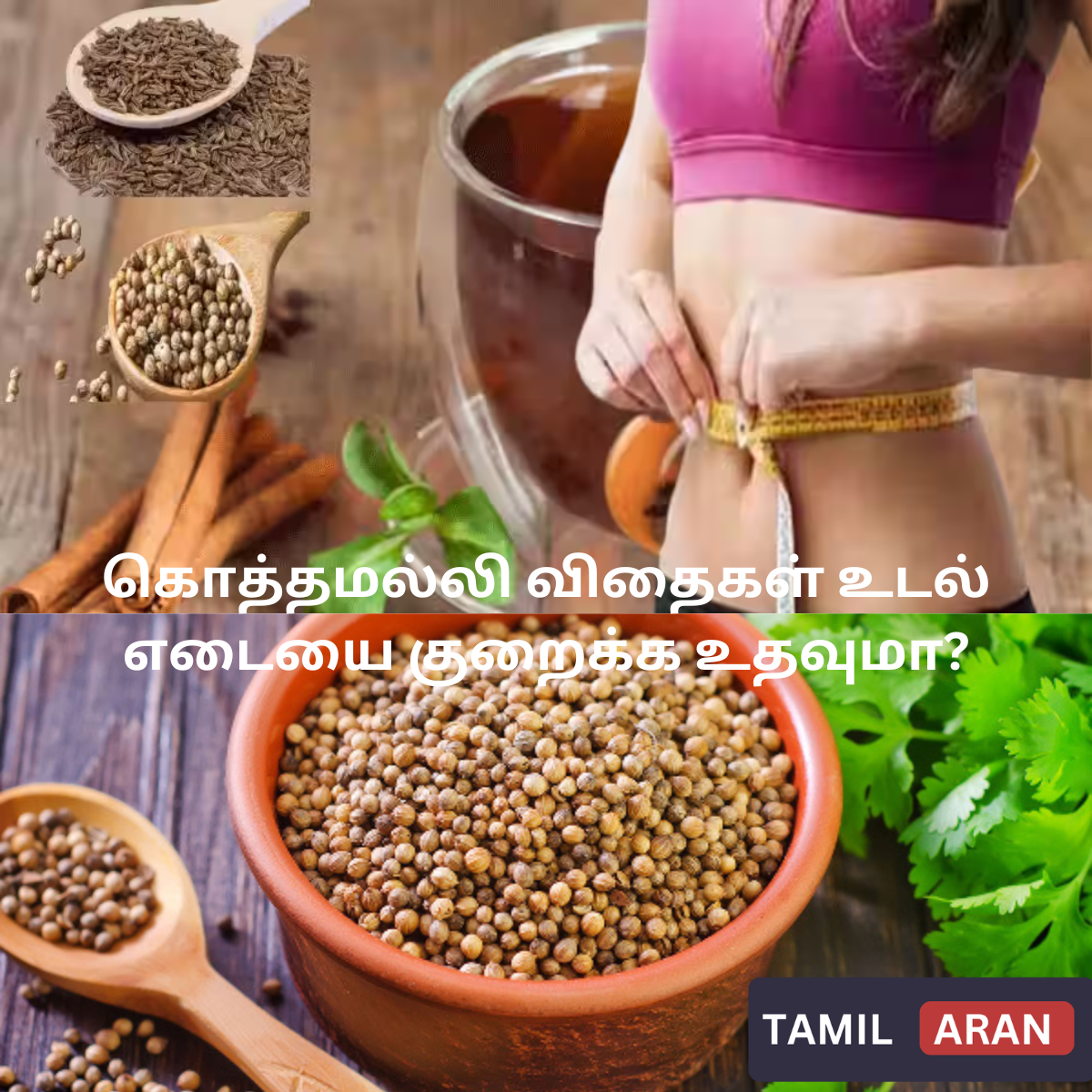 கொத்தமல்லி விதைகள் உடல் எடையை குறைக்க உதவுமா? | Amazing Coriander seeds that help in weight loss?