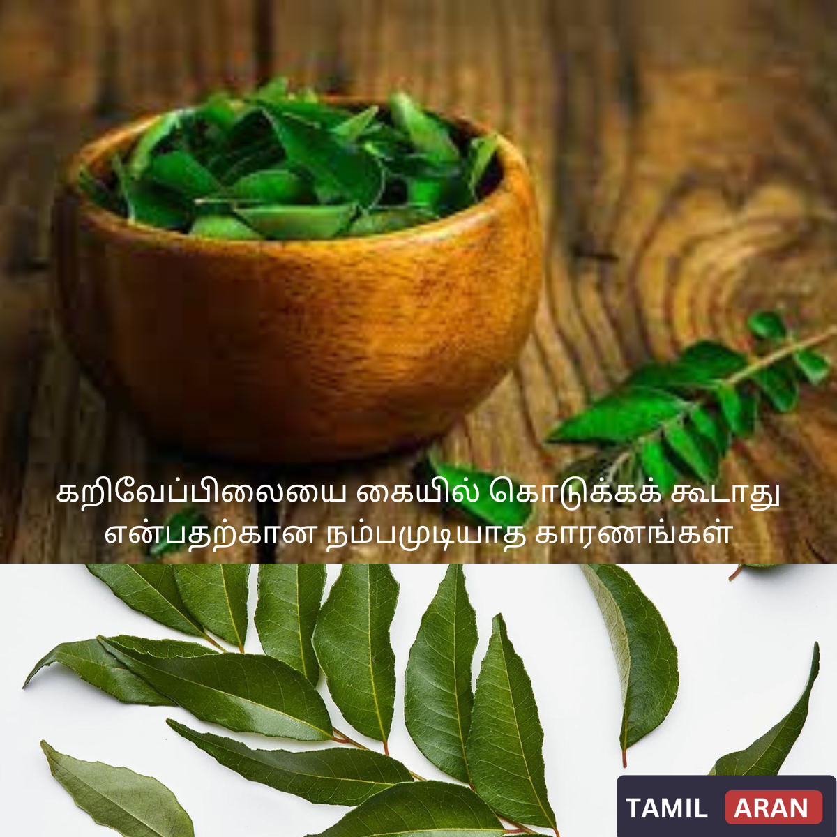 கறிவேப்பிலையை கையில் கொடுக்கக் கூடாது என்பதற்கான நம்பமுடியாத காரணங்கள்| 4 Unbelievable reasons why curry leaves should not be given in hand