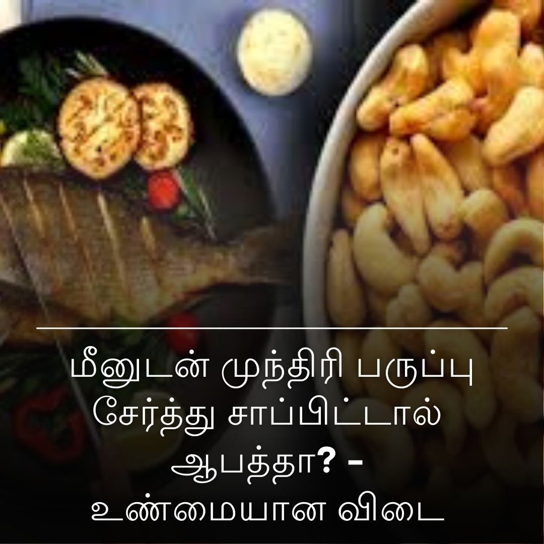 மீனுடன் முந்திரி பருப்பு சேர்த்து சாப்பிட்டால் ஆபத்தா? - உண்மையான விடை