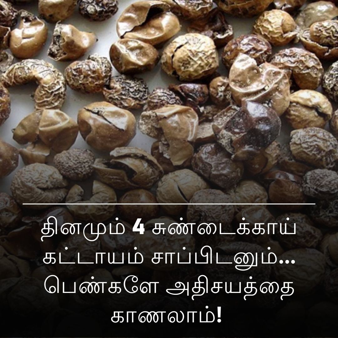 தினமும் 4 சுண்டைக்காய் கட்டாயம் சாப்பிடனும்... பெண்களே அதிசயத்தை காணலாம்!