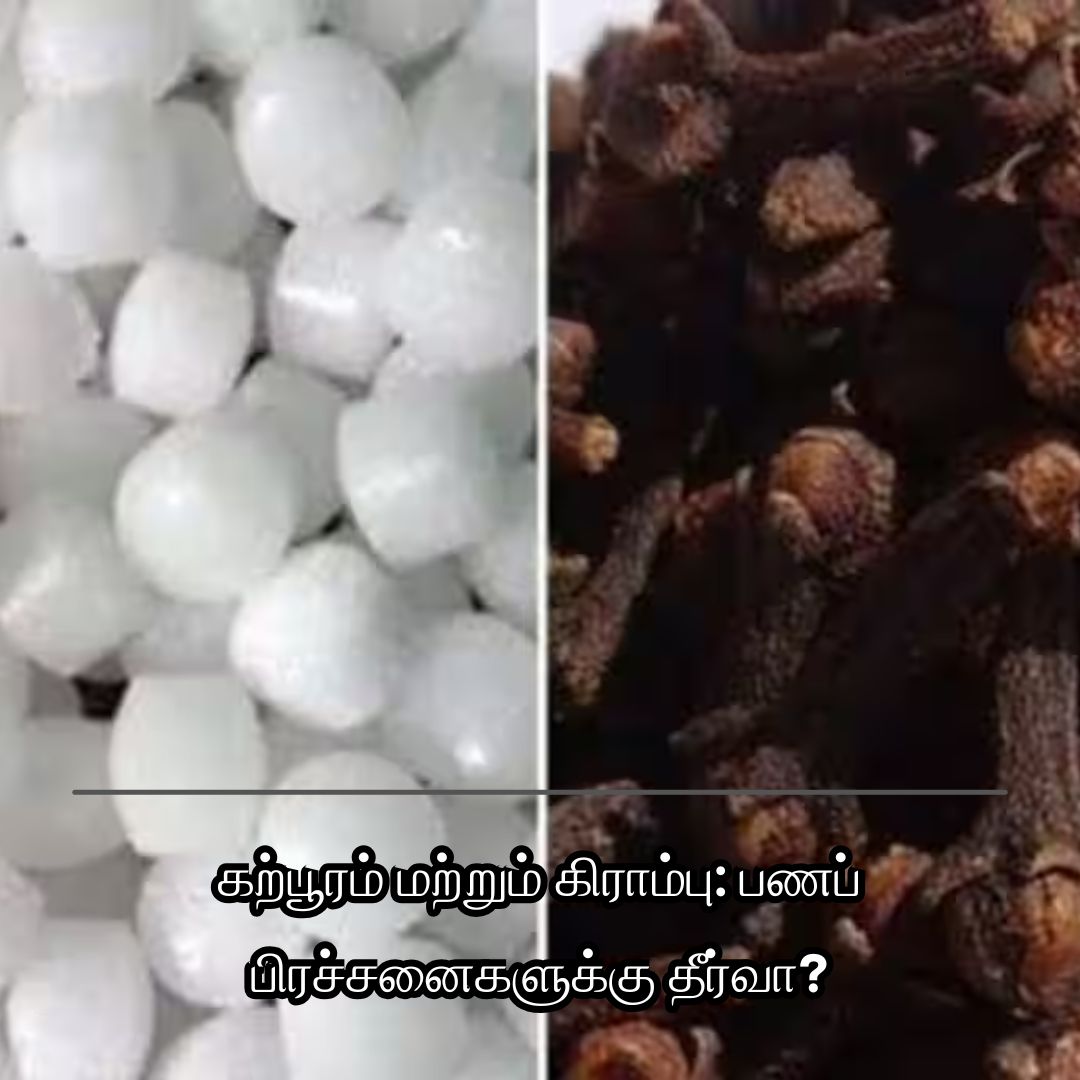 கற்பூரம் மற்றும் கிராம்பு: பணப் பிரச்சனைகளுக்கு தீர்வா?