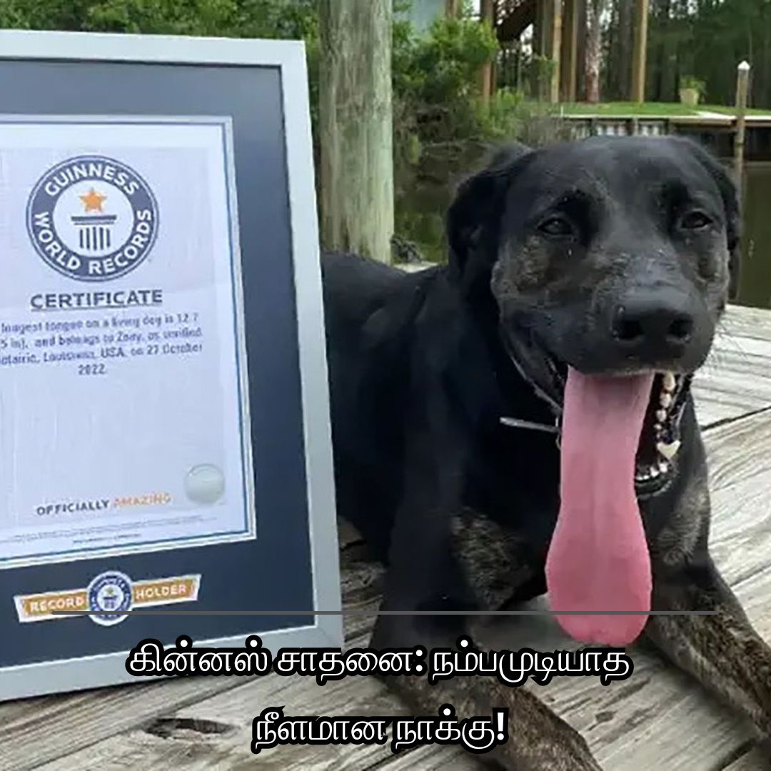 கின்னஸ் சாதனை: நம்பமுடியாத நீளமான நாக்கு!