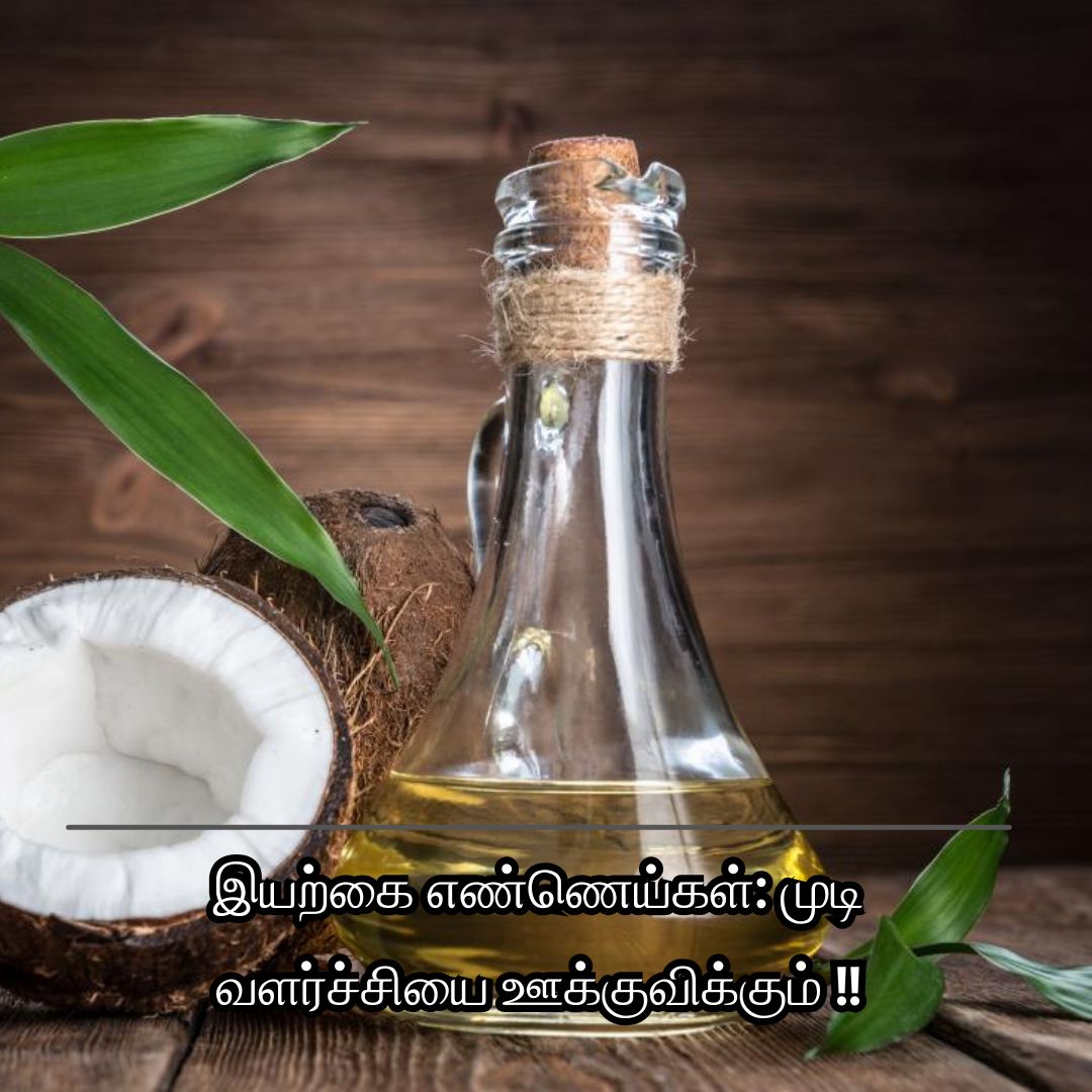இயற்கை எண்ணெய்கள்: முடி வளர்ச்சியை ஊக்குவிக்கும் !!