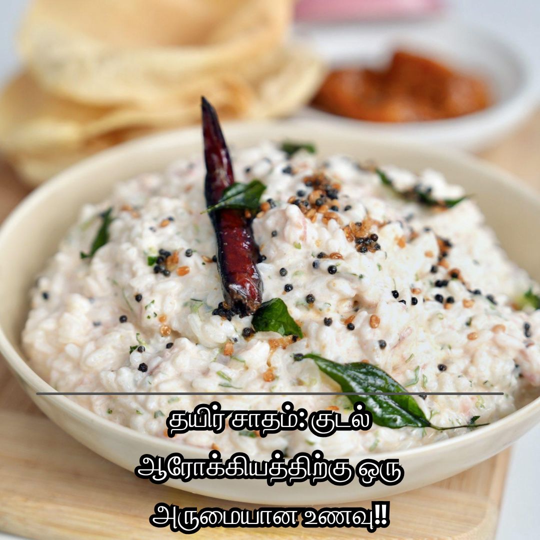 தயிர் சாதம்: குடல் ஆரோக்கியத்திற்கு ஒரு அருமையான உணவு!!