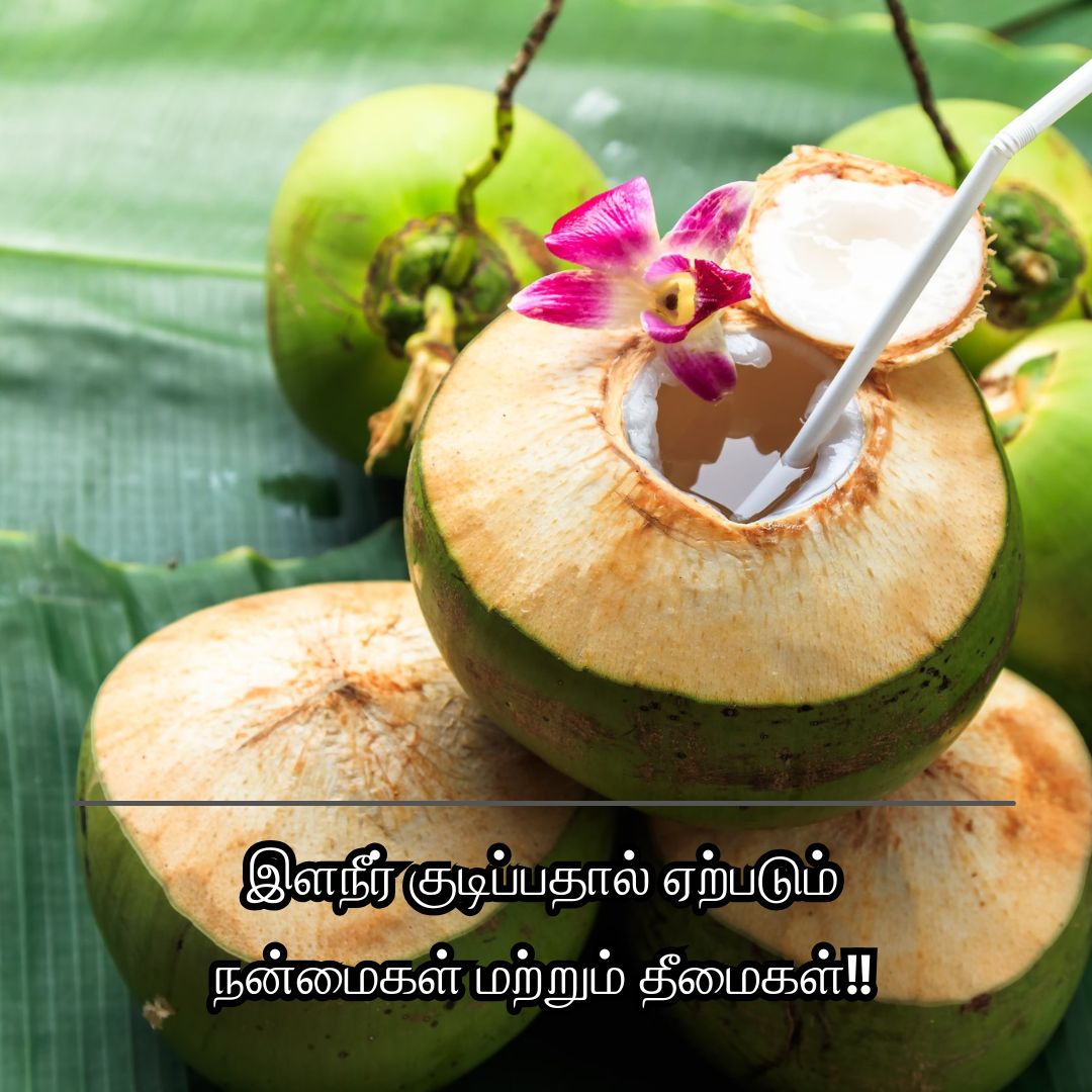 இளநீர் குடிப்பதால் ஏற்படும் நன்மைகள் மற்றும் தீமைகள்!!