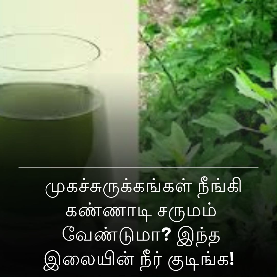 முகச்சுருக்கங்கள் நீங்கி கண்ணாடி சருமம் வேண்டுமா? இந்த இலையின் நீர் குடிங்க!