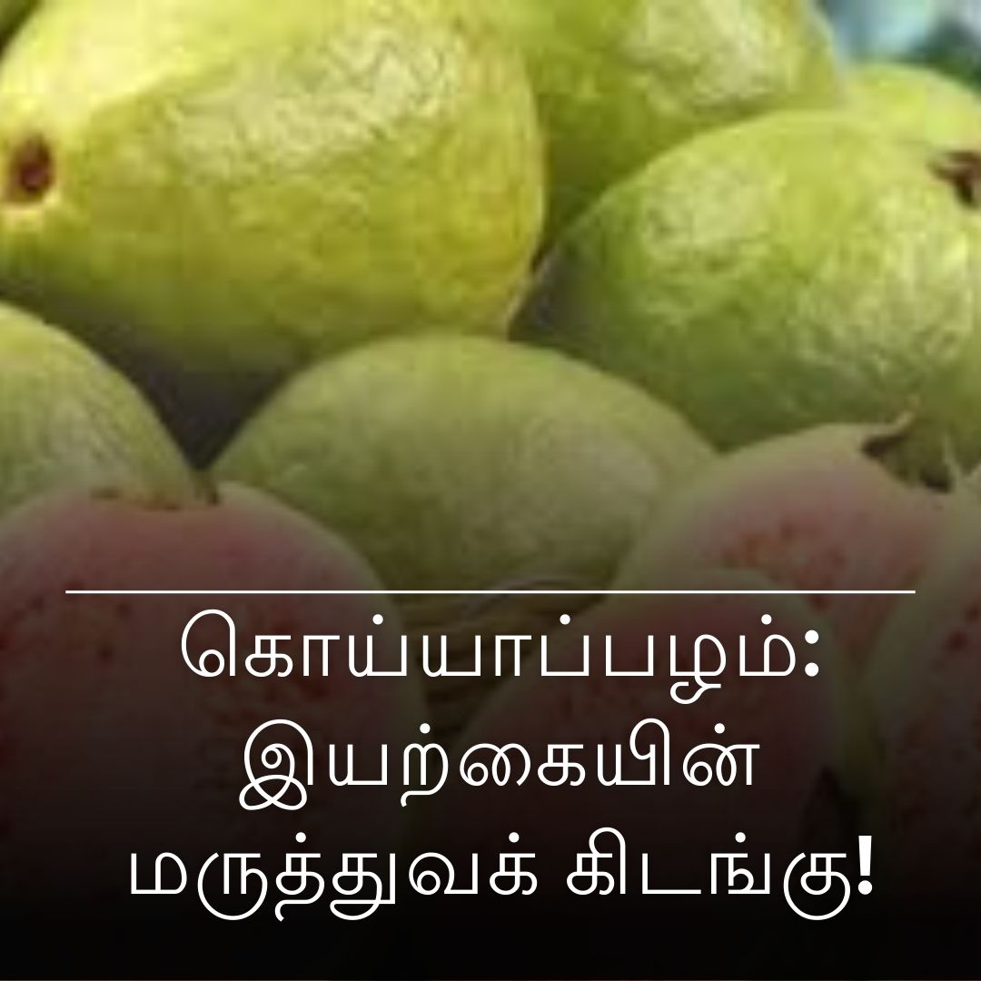 கொய்யாப்பழம்: இயற்கையின் மருத்துவக் கிடங்கு!