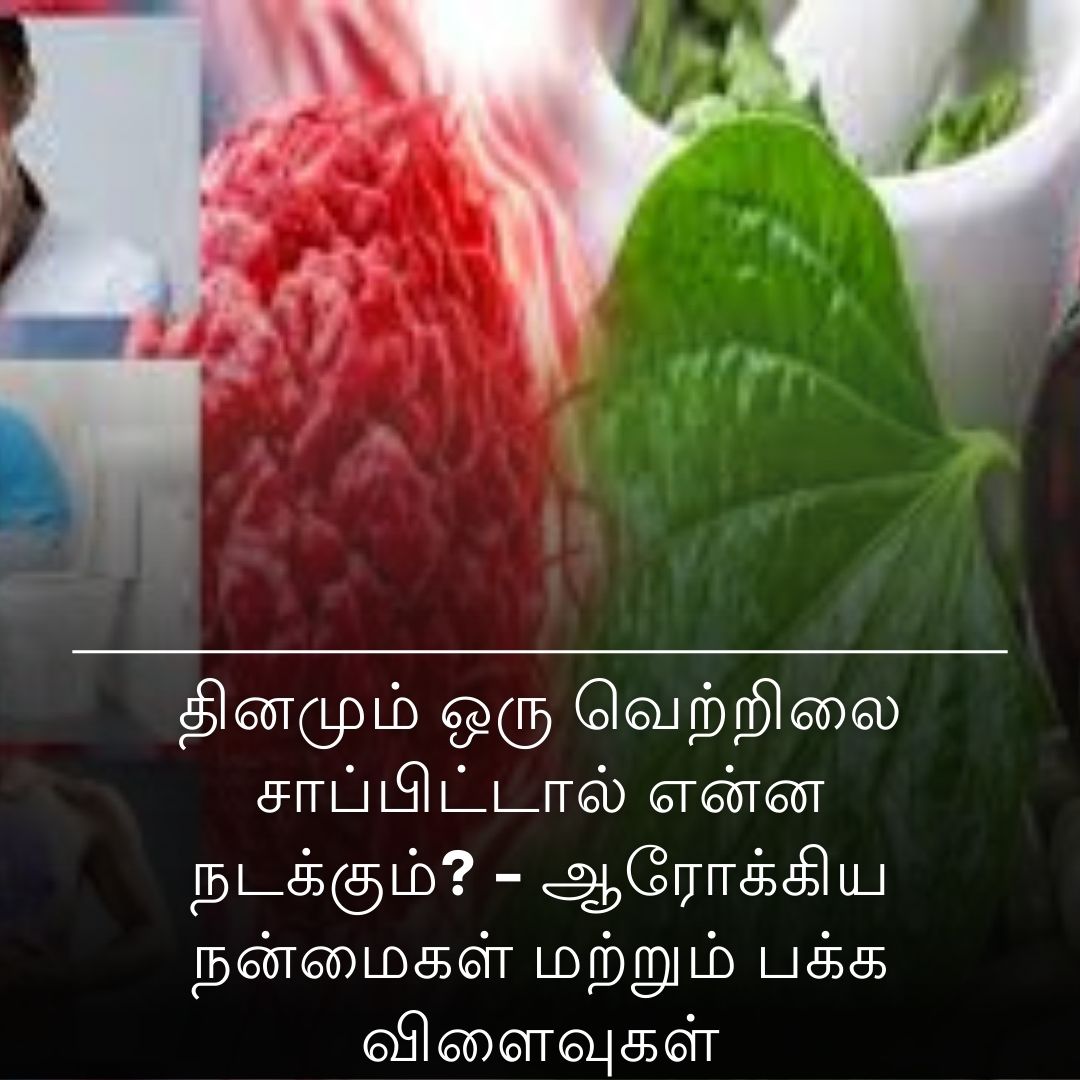 தினமும் ஒரு வெற்றிலை சாப்பிட்டால் என்ன நடக்கும்? - ஆரோக்கிய நன்மைகள் மற்றும் பக்க விளைவுகள்