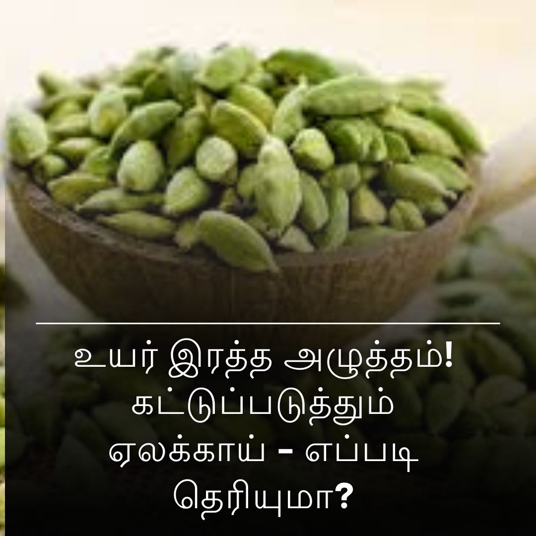 உயர் இரத்த அழுத்தத்தை கட்டுப்படுத்தும் ஏலக்காய் - எப்படி தெரியுமா?