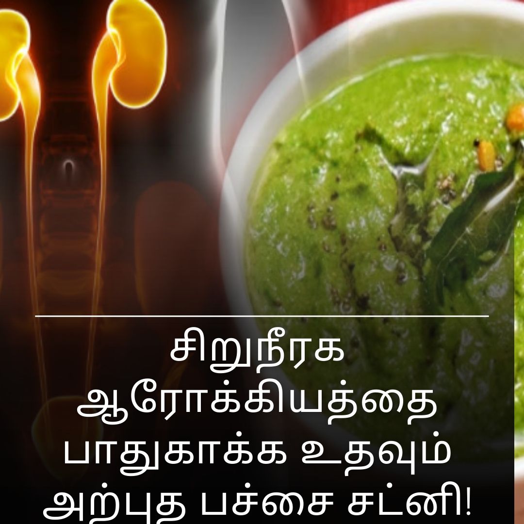 சிறுநீரக ஆரோக்கியத்தை பாதுகாக்க உதவும் அற்புத பச்சை சட்னி!