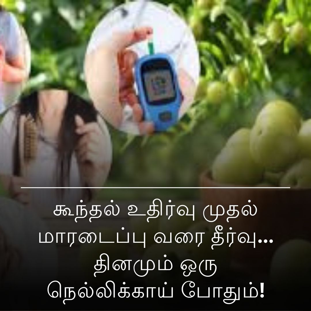 கூந்தல் உதிர்வு முதல் மாரடைப்பு வரை தீர்வு... தினமும் ஒரு நெல்லிக்காய் போதும்!