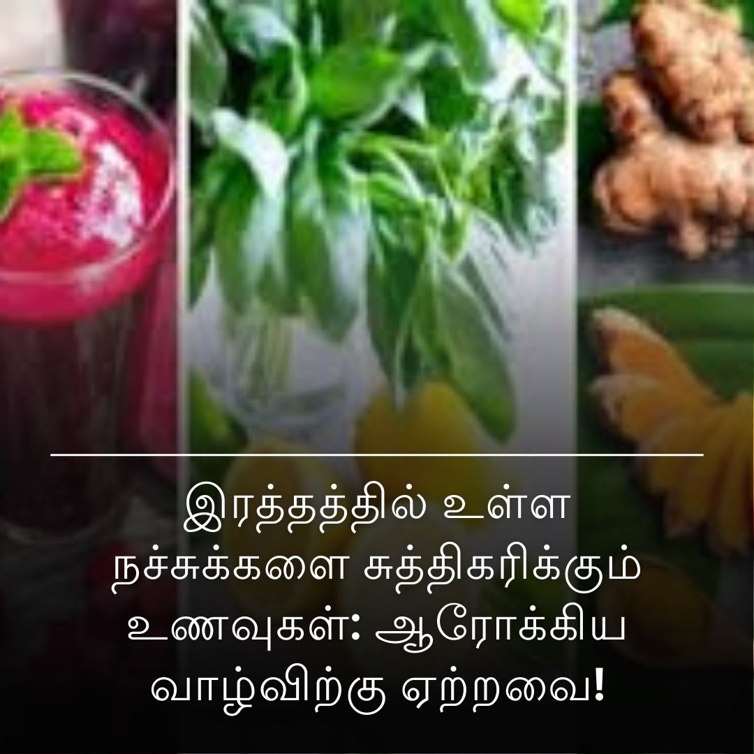 இரத்தத்தில் உள்ள நச்சுக்களை சுத்திகரிக்கும் உணவுகள்: ஆரோக்கிய வாழ்விற்கு ஏற்றவை!