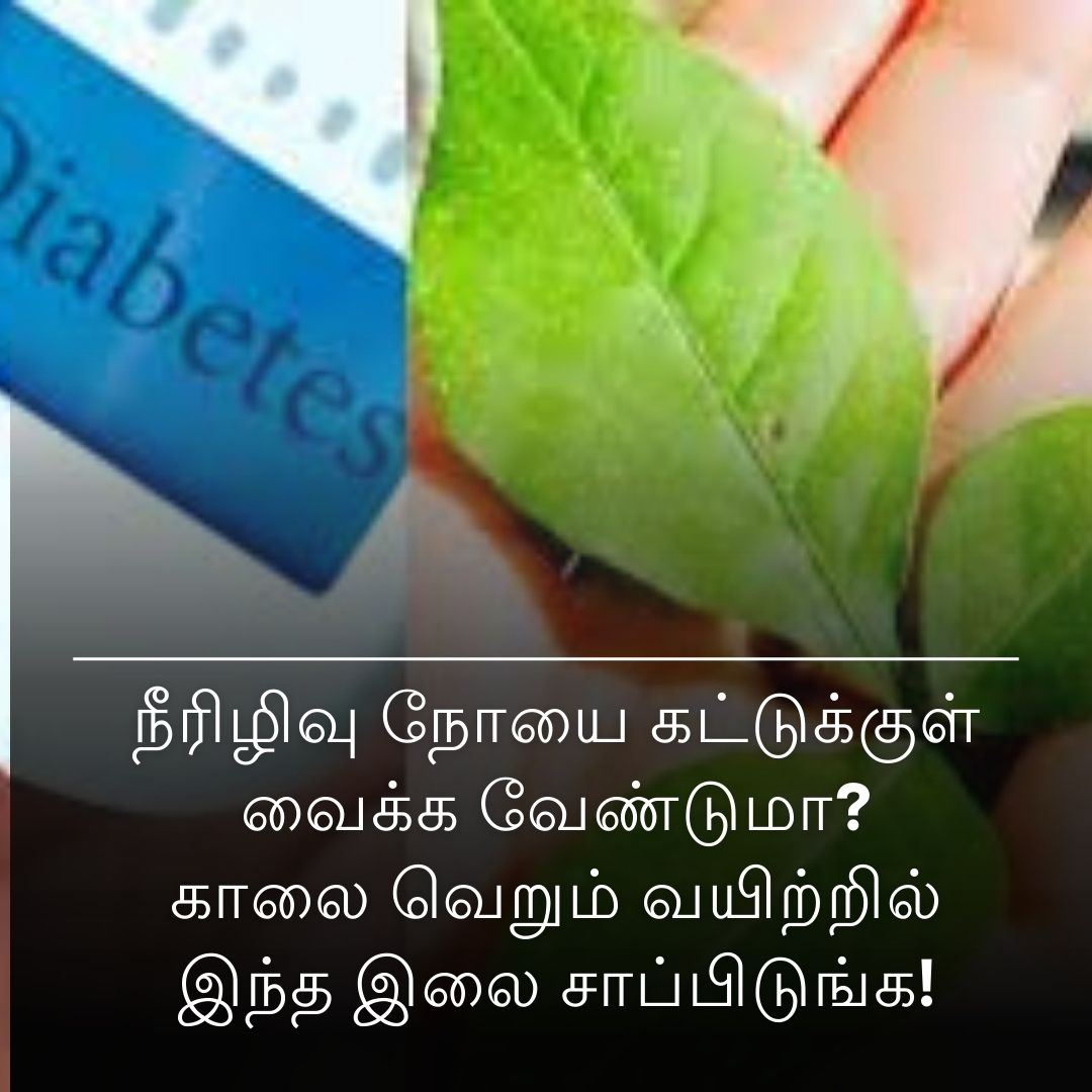 நீரிழிவு நோயை கட்டுக்குள் வைக்க வேண்டுமா? காலை வெறும் வயிற்றில் இந்த இலை சாப்பிடுங்க!