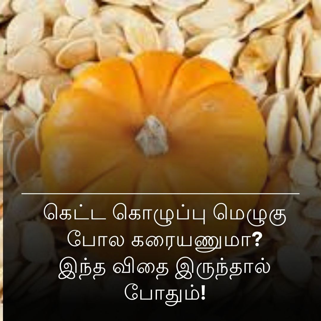 கெட்ட கொழுப்பு மெழுகு போல கரையணுமா? இந்த விதை இருந்தால் போதும்!