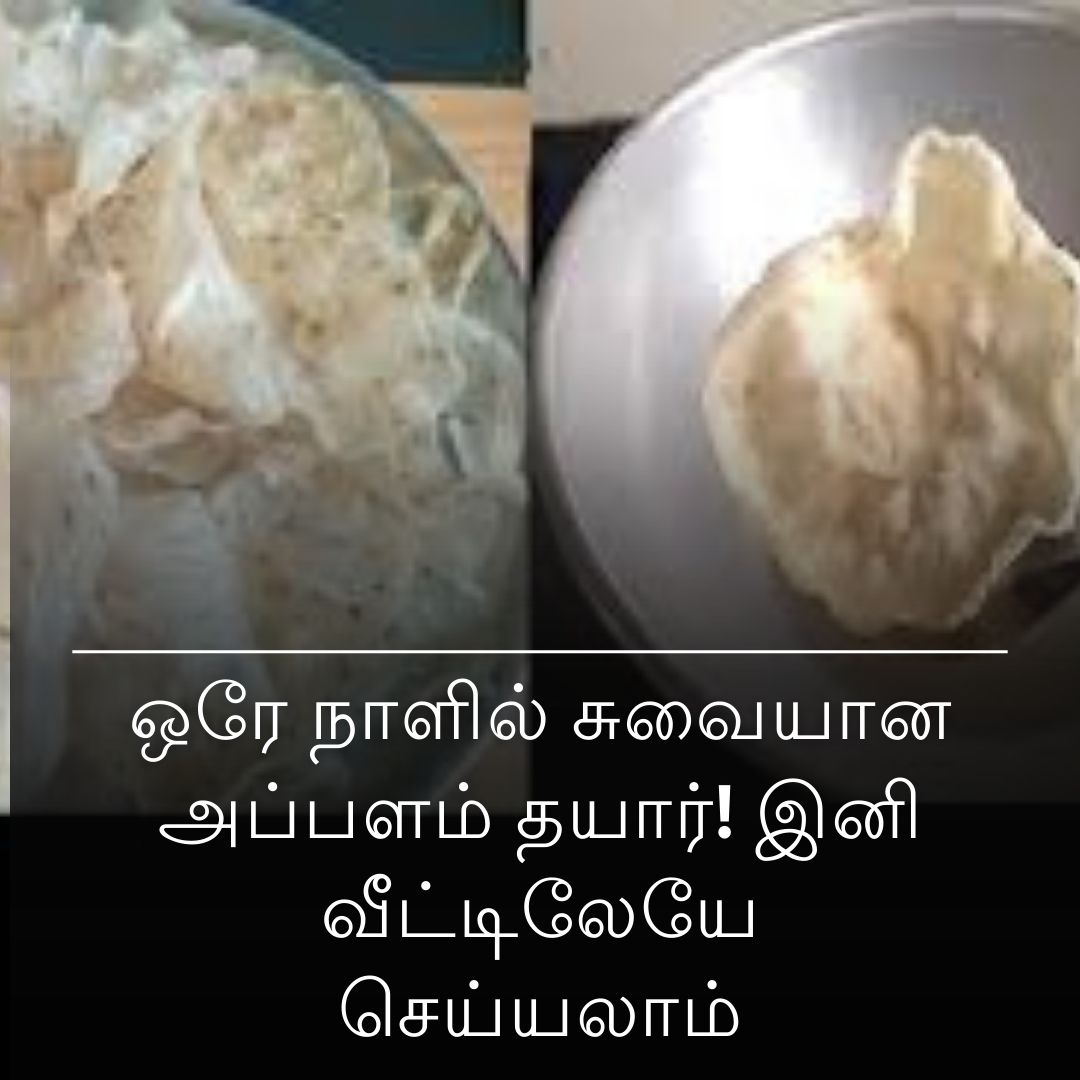 ஒரே நாளில் சுவையான அப்பளம் தயார்! இனி வீட்டிலேயே செய்யலாம்
