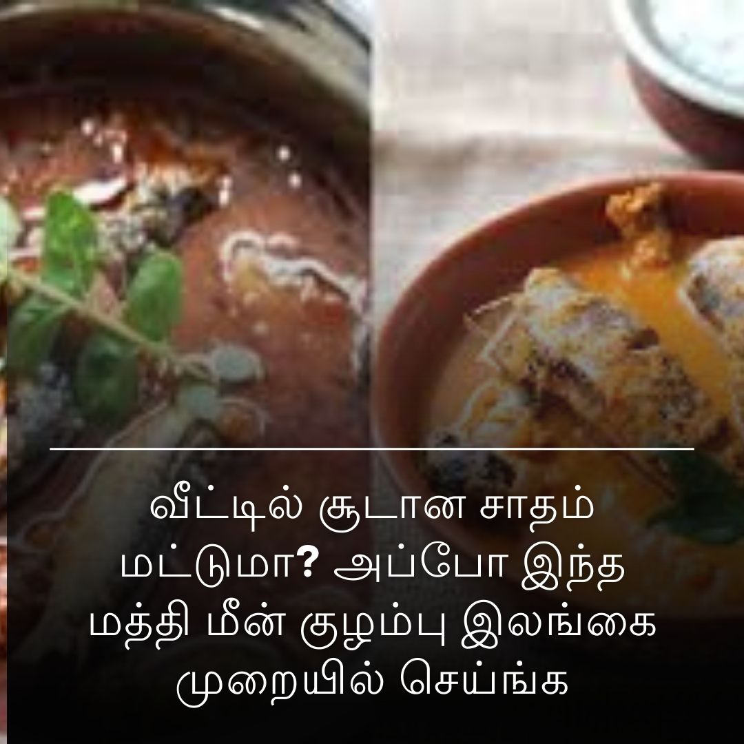 வீட்டில் சூடான சாதம் மட்டுமா? அப்போ இந்த மத்தி மீன் குழம்பு இலங்கை முறையில் செய்ங்க