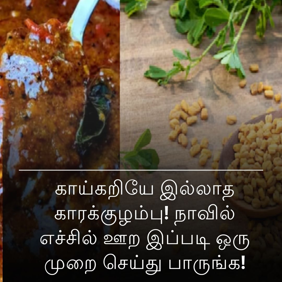 காய்கறியே இல்லாத காரக்குழம்பு! நாவில் எச்சில் ஊற இப்படி ஒரு முறை செய்து பாருங்க!