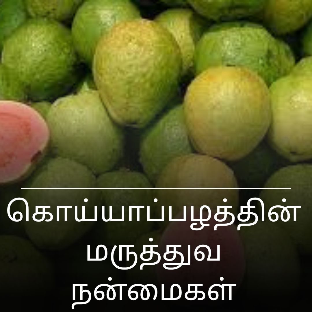 கொய்யாப்பழத்தின் மருத்துவ நன்மைகள்