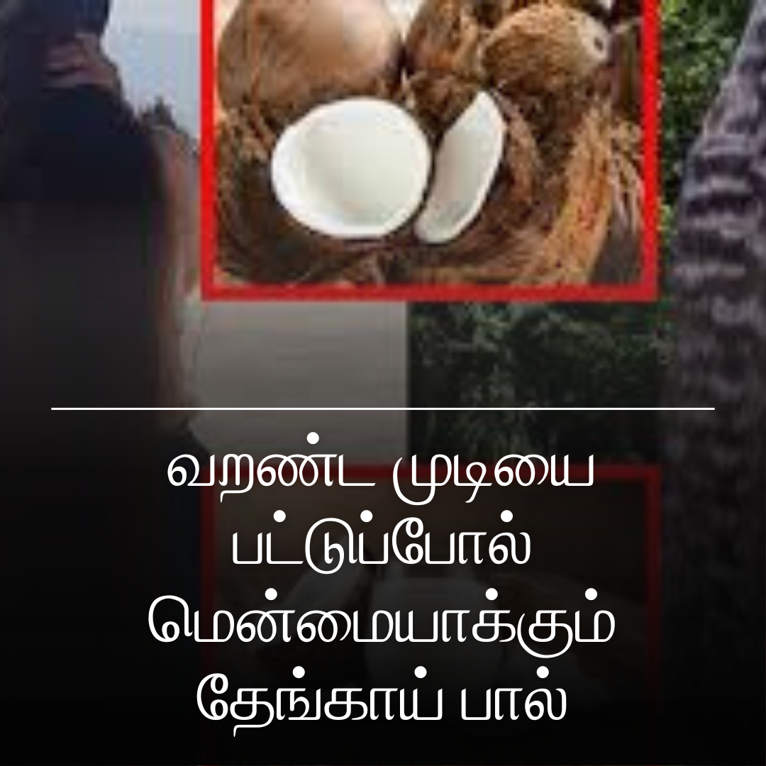 வறண்ட முடியை பட்டுப்போல் மென்மையாக்கும் தேங்காய் பால்