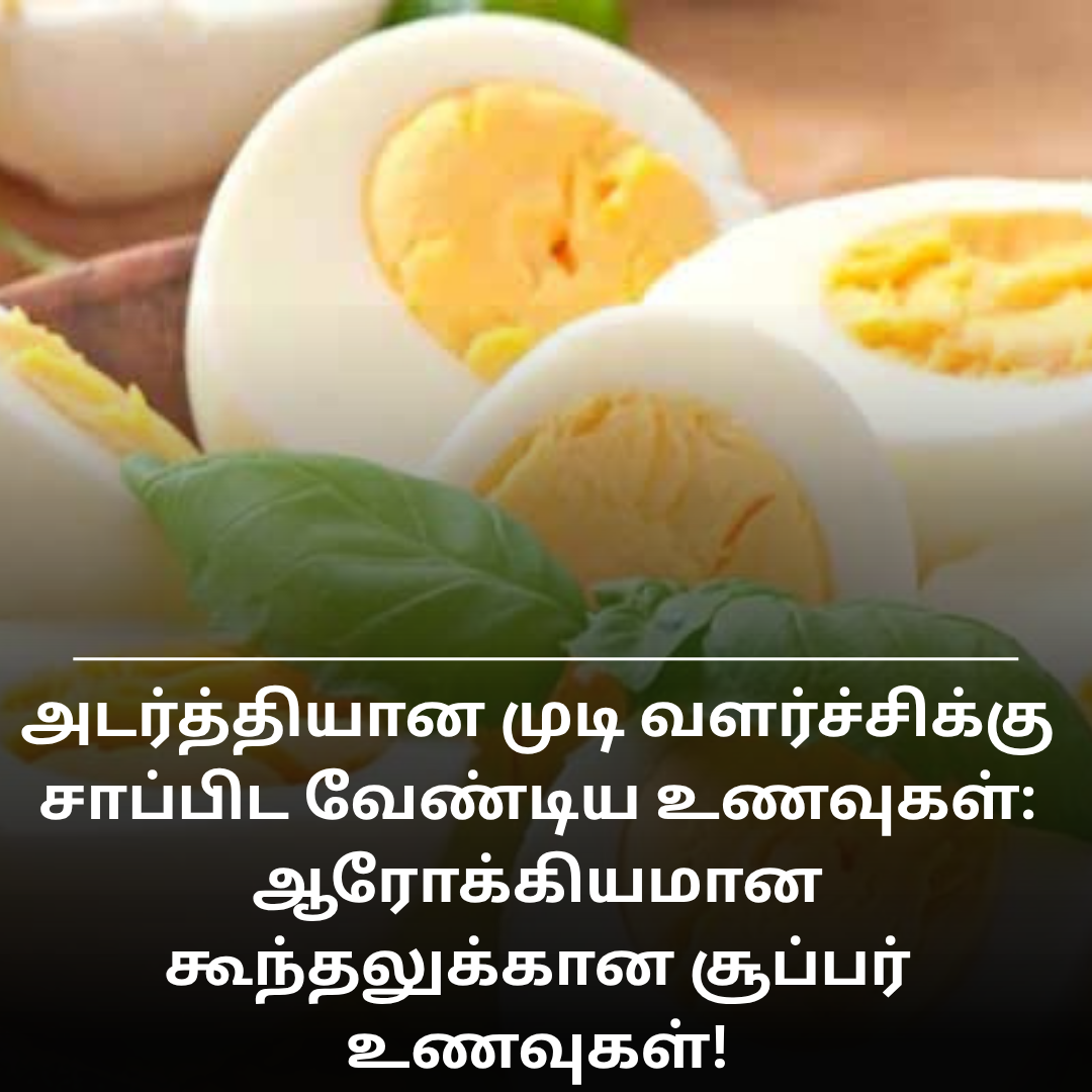 அடர்த்தியான முடி வளர்ச்சிக்கு சாப்பிட வேண்டிய உணவுகள்: ஆரோக்கியமான கூந்தலுக்கான சூப்பர் உணவுகள்!