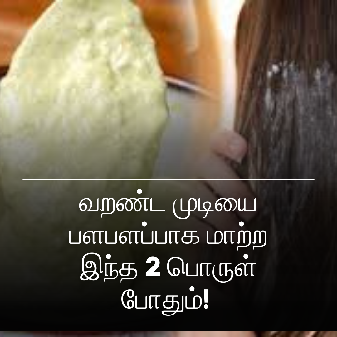 வறண்ட முடியை பளபளப்பாக மாற்ற இந்த 2 பொருள் போதும்!