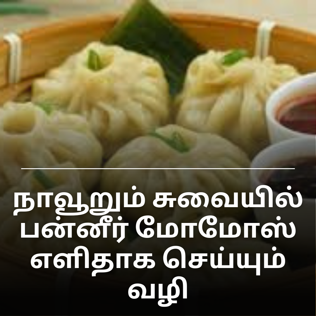 நாவூறும் சுவையில் பன்னீர் மோமோஸ் – எளிதாக செய்யும் வழி