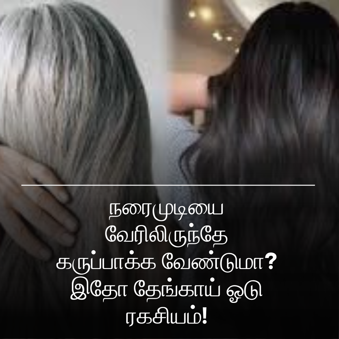 நரைமுடியை வேரிலிருந்தே கருப்பாக்க வேண்டுமா? முடியைக் கருகருவென மாற்ற இதோ தேங்காய் ஓடு ரகசியம்!
